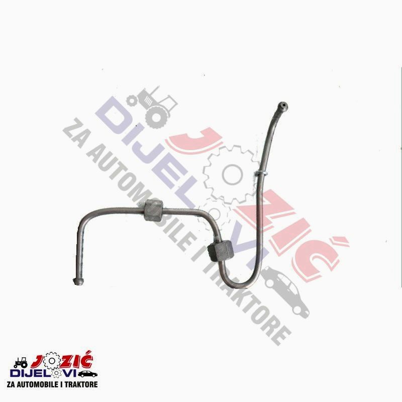 Daisy on the Ohoopee